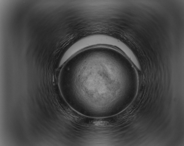 X0000052640268200507160204