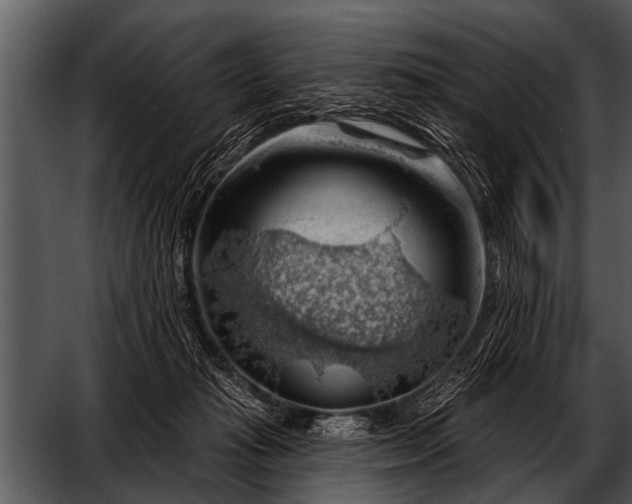 X0000052640269200507160204