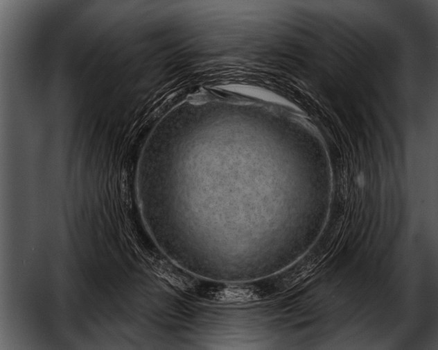 X0000052640270200507160204