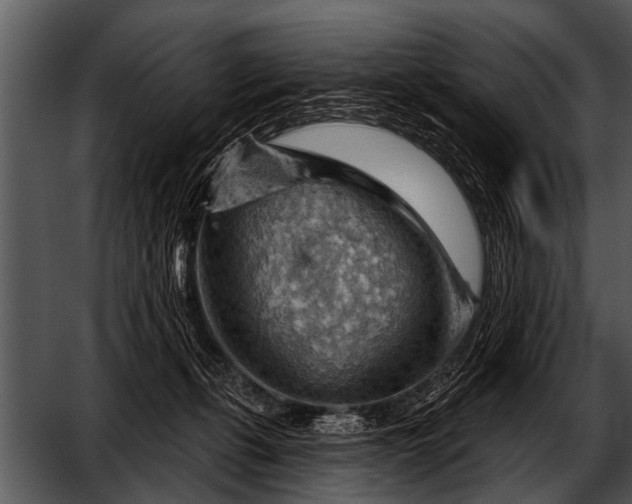 X0000052640271200507160204