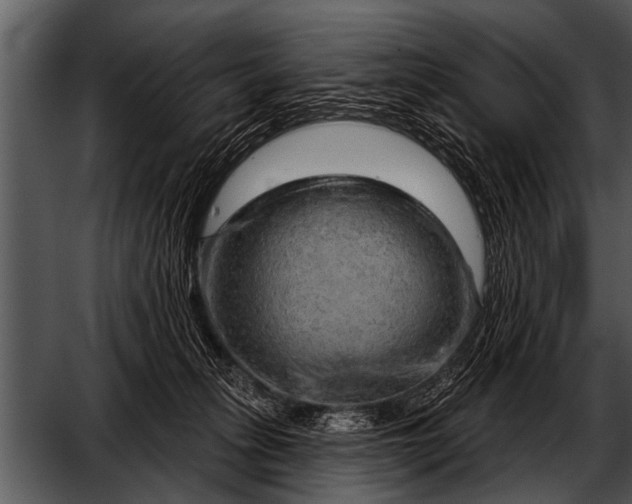 X0000052640275200507160205