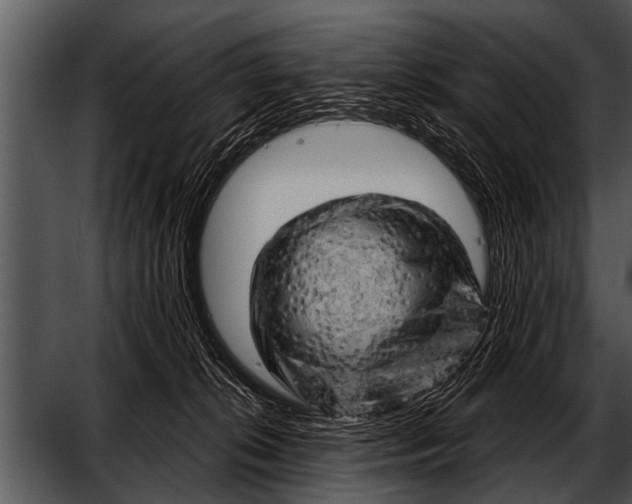 X0000052640276200507160205