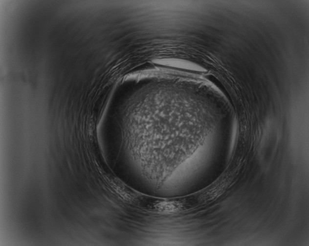 X0000052640277200507160205