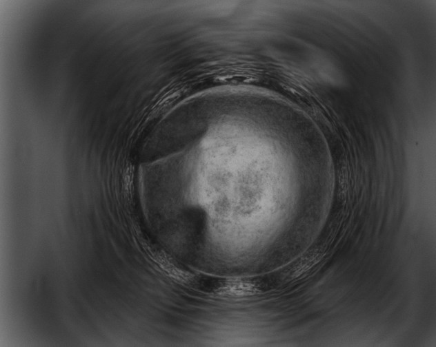 X0000052640278200507160205