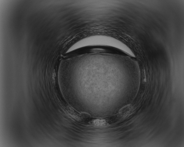 X0000052640279200507160205