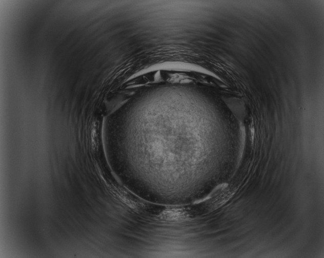 X0000052640280200507160205