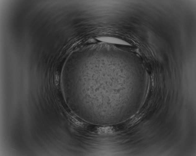 X0000052640281200507160205