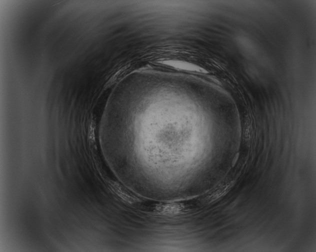 X0000052640282200507160205