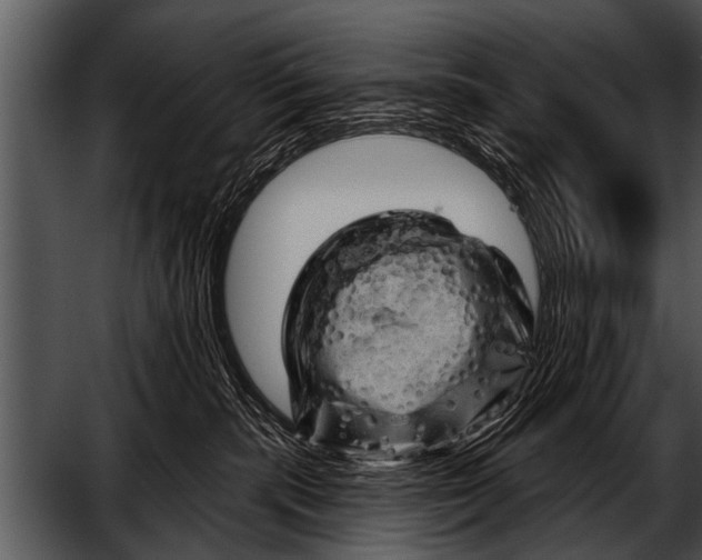 X0000052640283200507160205