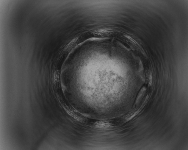 X0000052640284200507160205