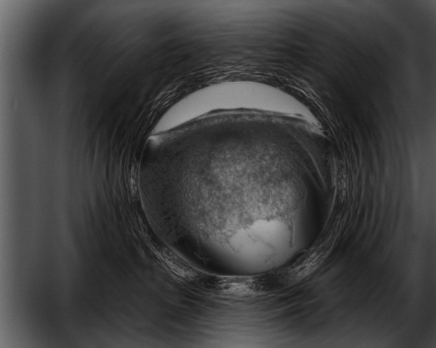 X0000052640285200507160205