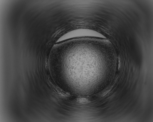 X0000052640287200507160205