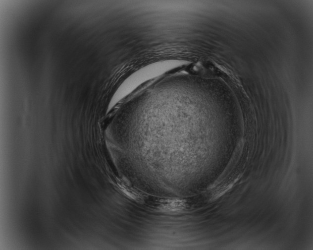 X0000052640288200507160205