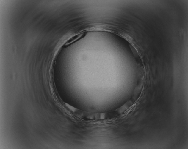 X0000052640289200507160204