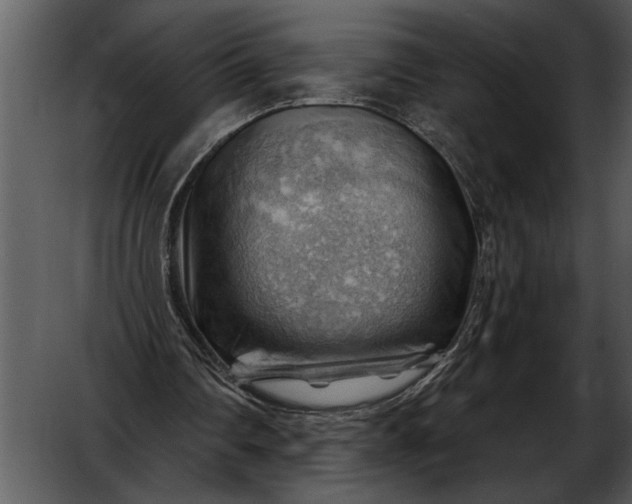 X0000052640290200507160204