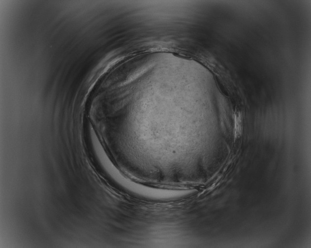 X0000052640291200507160204