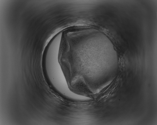 X0000052640292200507160204