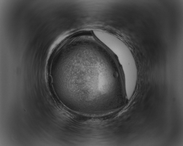 X0000052640294200507160204