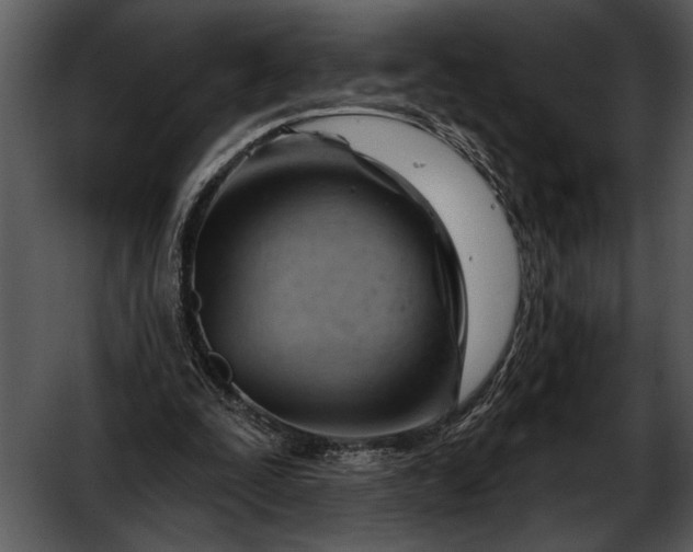 X0000052640295200507160204