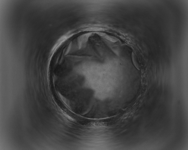 X0000052640296200507160204