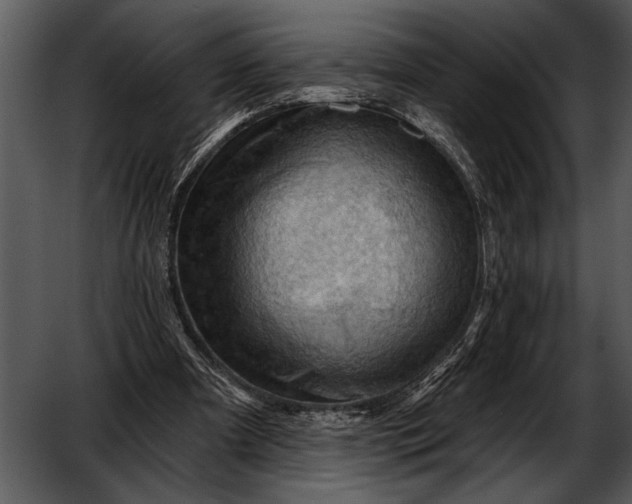 X0000052640297200507160204