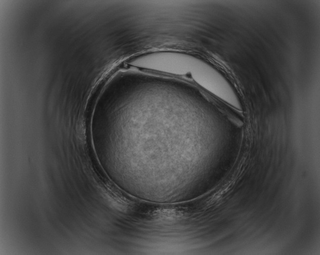 X0000052640298200507160204