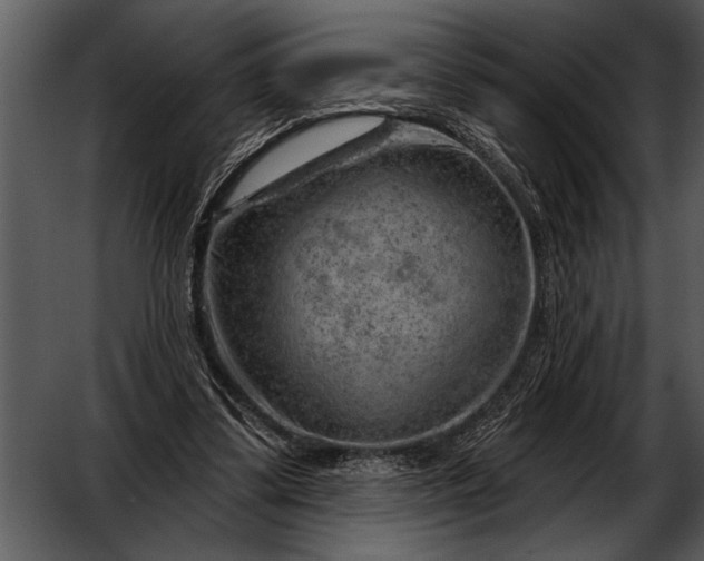 X0000052640299200507160204