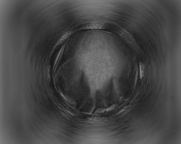 X0000052640300200507160204