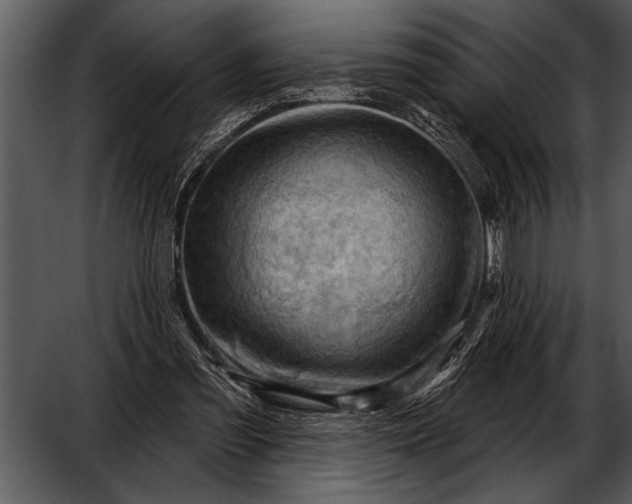 X0000052640301200507160204