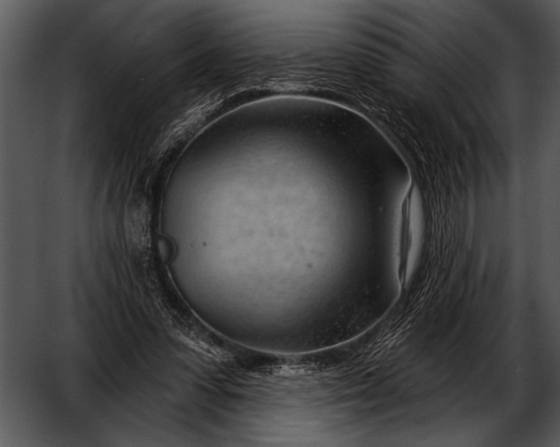 X0000052640303200507160204