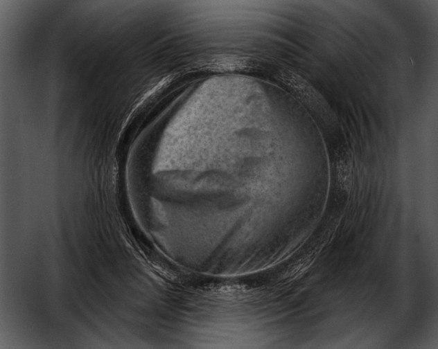 X0000052640304200507160204