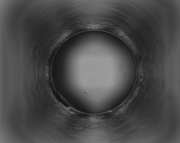 X0000052640305200507160204