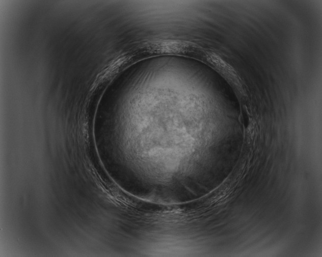 X0000052640306200507160204