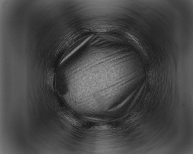 X0000052640307200507160204