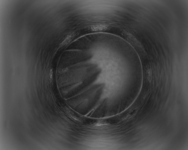 X0000052640308200507160204