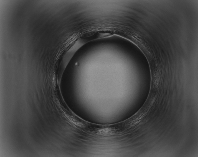 X0000052640309200507160204