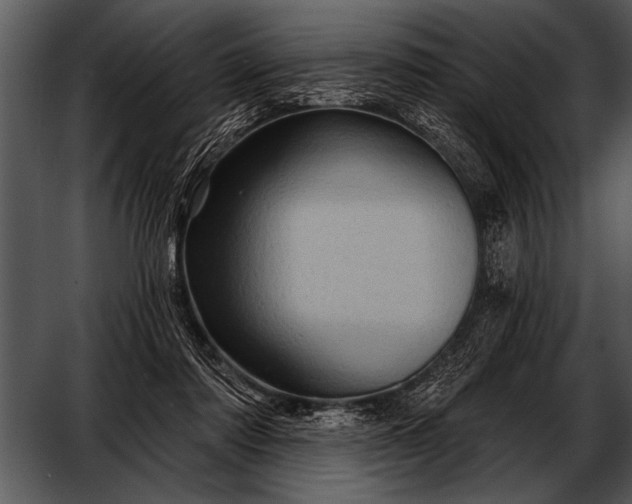 X0000052640310200507160204