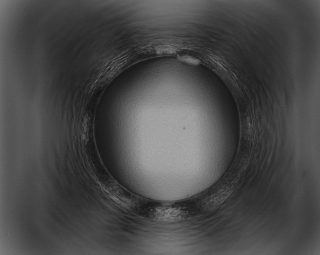 X0000052640311200507160204