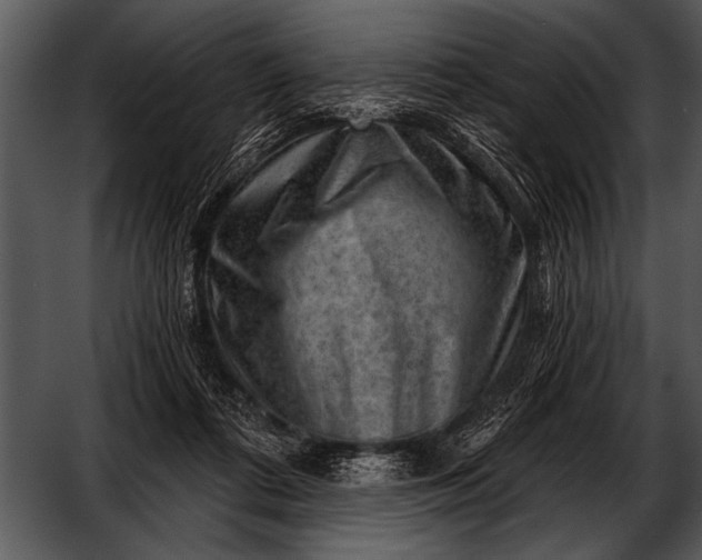 X0000052640312200507160204