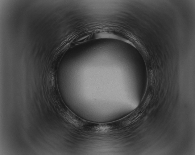 X0000052640313200507160204