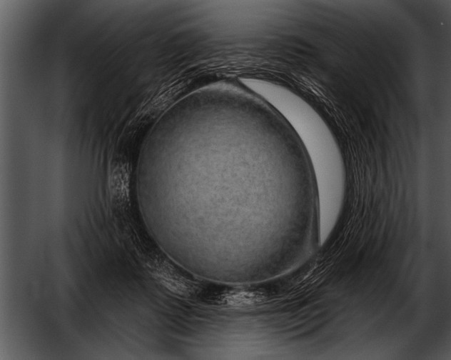 X0000052640315200507160203