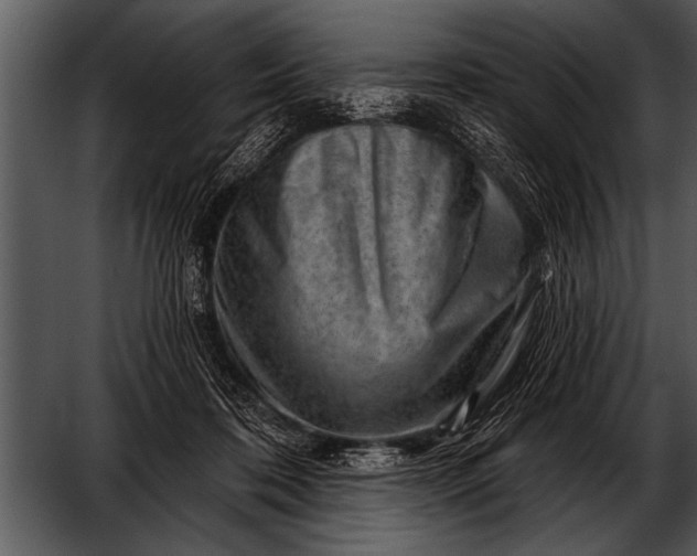 X0000052640316200507160203