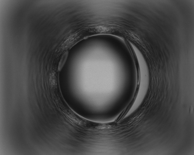 X0000052640317200507160203