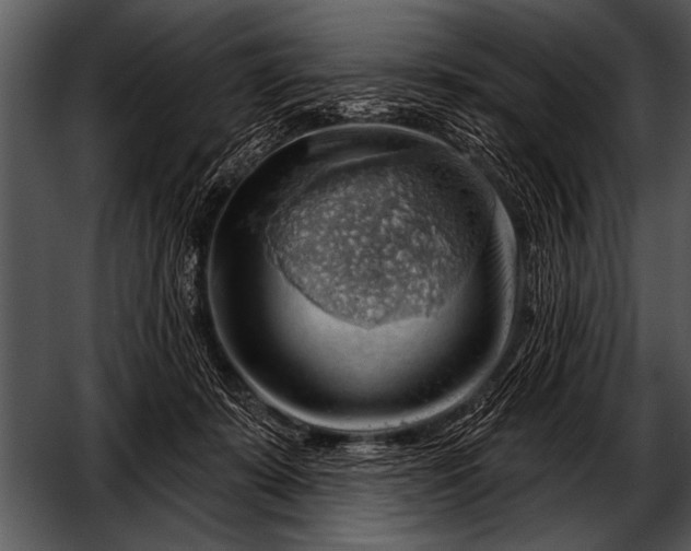 X0000052640319200507160203