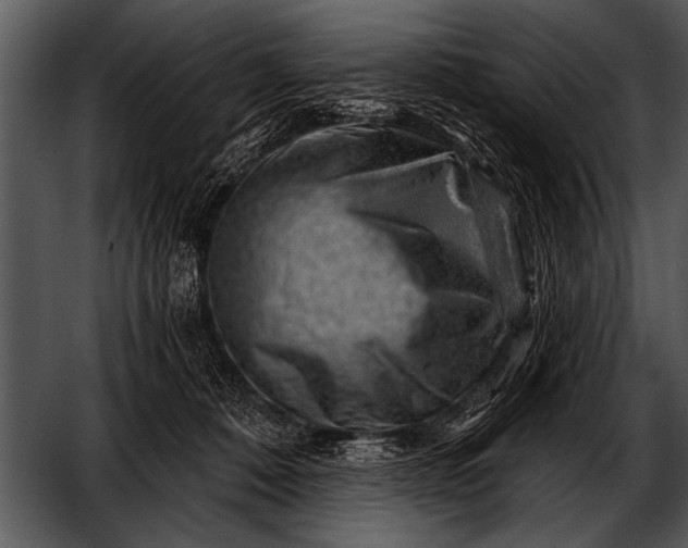 X0000052640320200507160203