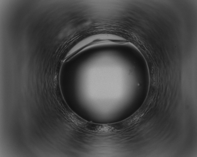 X0000052640321200507160203