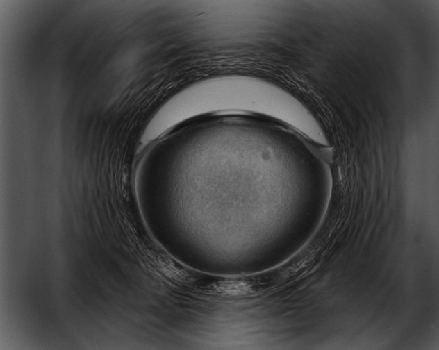 X0000052640322200507160203