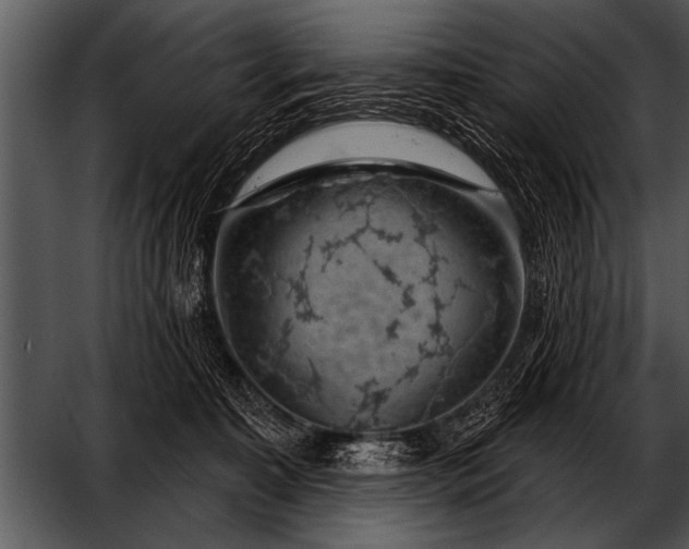 X0000052640323200507160203