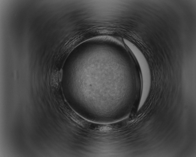 X0000052640325200507160203