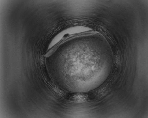 X0000052640326200507160203